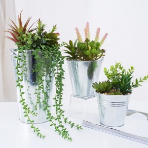 Fourniture directe d\'usine succulente artificielle dans le pot de fer