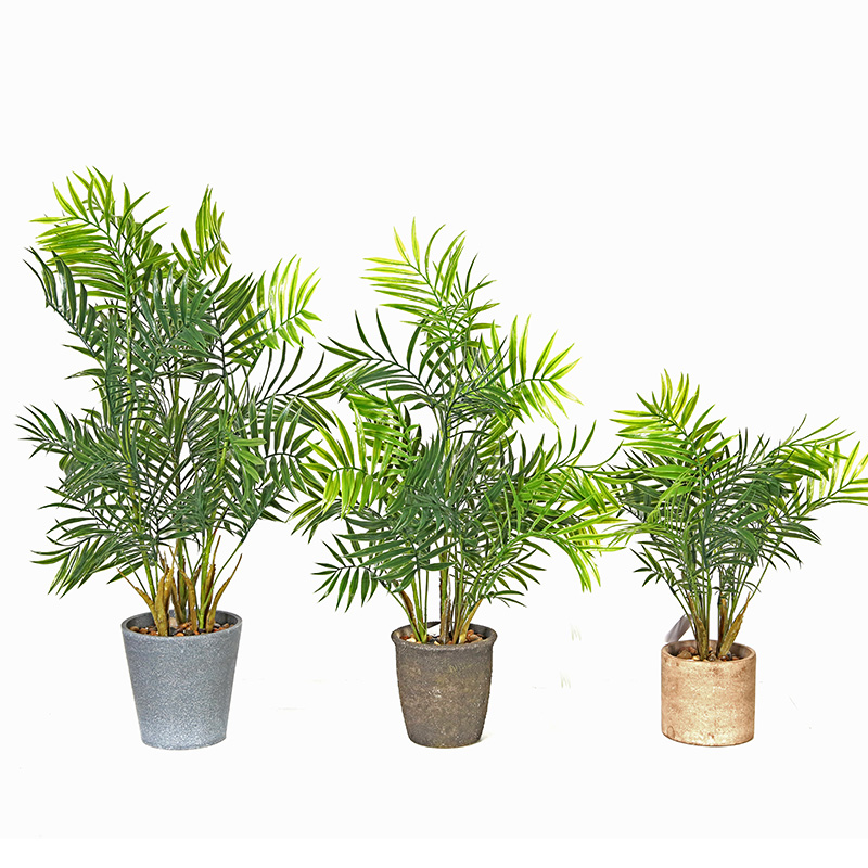 Plants artificiels en plastique décoratif pour salon avec de haute qualité et une sensation de grande beauté et réelle touchée.