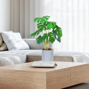 L\'usine fournit directement la vente chaude décorative verte artificielle avec une belle apparence et une vraie sensation touchée