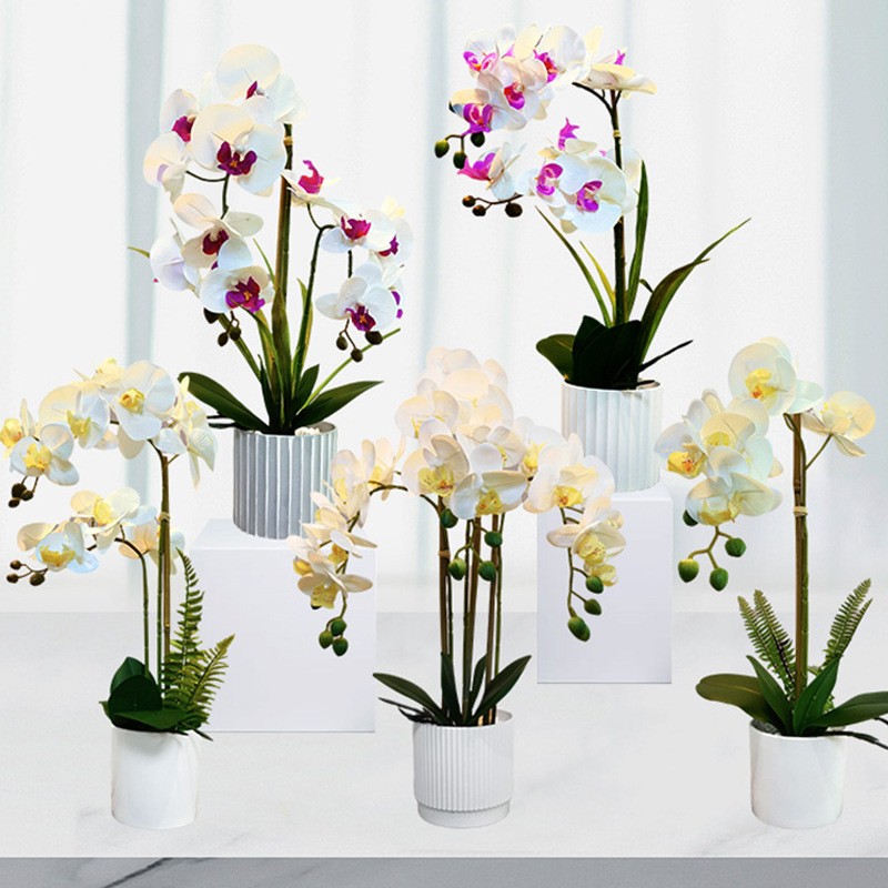 Vrai Touch Touch White Fleur d\'orchidées artificielles blanches en pot blanc